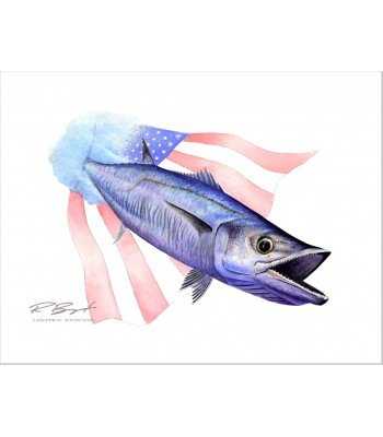 "Kingfish" - American Flag